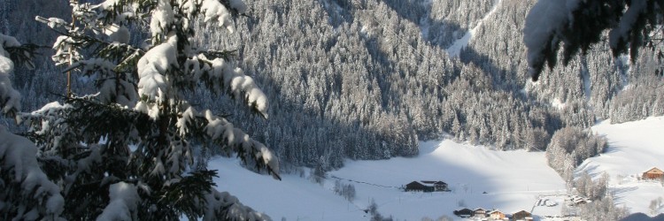 Frohe Weihnachten und ein gutes neues Jahr 2020